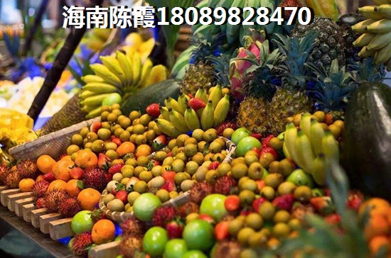 海晟逸清園VS濱海貴族買房投資分析！海南五指山市怎么樣值不值得買？