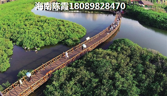 海棠101真的有這么好嗎（海棠101升值潛力及房?jī)r(jià)分析）