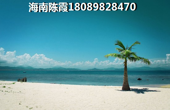 海南陵水購(gòu)房?jī)?yōu)勢(shì)大揭秘天賜南灣引領(lǐng)購(gòu)房熱潮！
