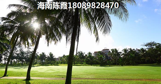 碧桂園·高隆灣高性價(jià)比商品房推薦！房價(jià)、交通及配套設(shè)施全解析！