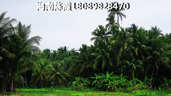 宜州市避暑地方有哪些？避暑勝地是什么