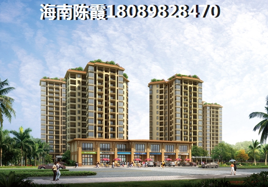 海南XG政策2025醉新解讀